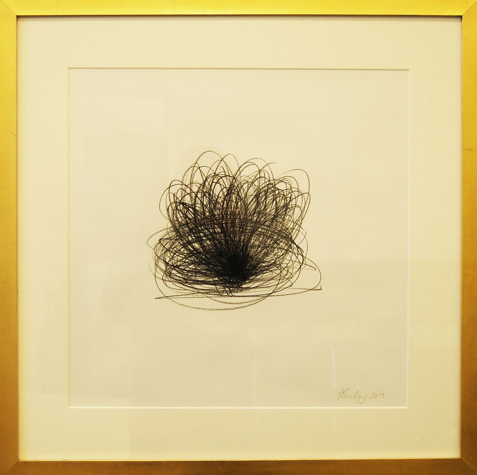 Drawing as Thinking Series, 2013