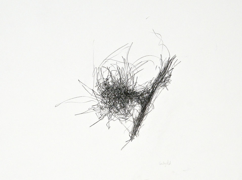 Drawing as Action Series, 2013