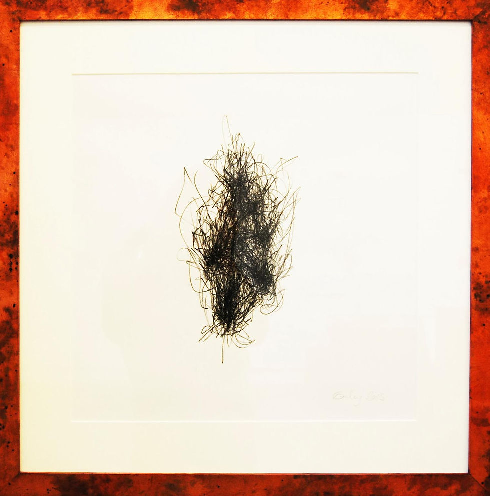 Drawing as Thinking Series, 2013