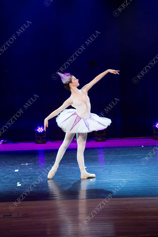 22_0431.jpg
