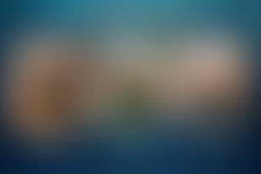 Three types of Korean seaweed—gim, miyeok, and kelp—arranged in a pantry-style layout with rice, soup, and broth cues, under the title “Which Korean Seaweed Belongs in Your Pantry?”