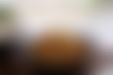 Luxury MyFreshDash thumbnail featuring a black bowl of glossy myeolchi bokkeum topped with sesame seeds and green onions, paired with white rice in a bright modern kitchen setting, with elegant title text reading “Myeolchi Bokkeum: The Best Korean Rice Side Dish?”