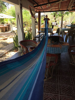 IMG-0817