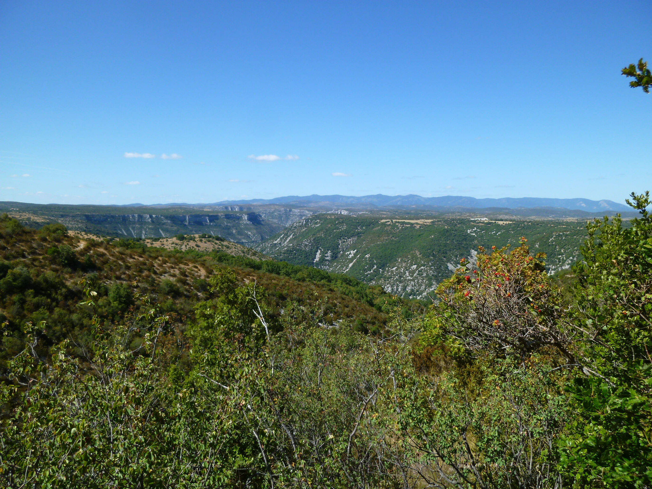 blandas, gorges de la vis, larzac