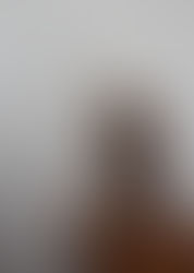 Antilopes amoureuses