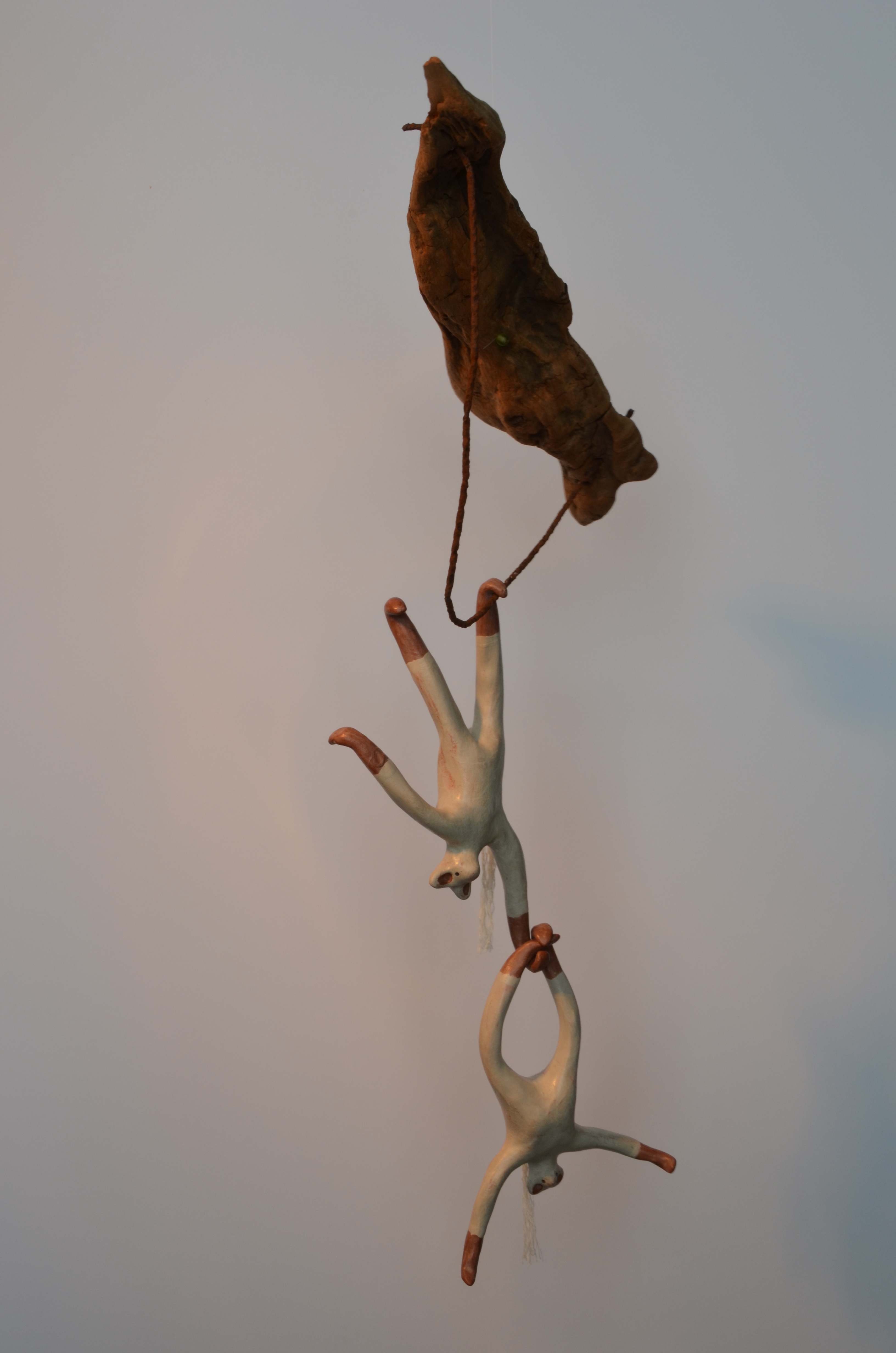 gibbons du cirque inextrêmiste