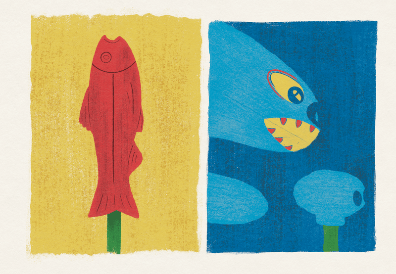 Salmon Catcher game promotional image