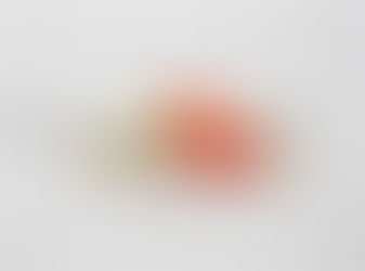 Dietary Supplements: What you must know.