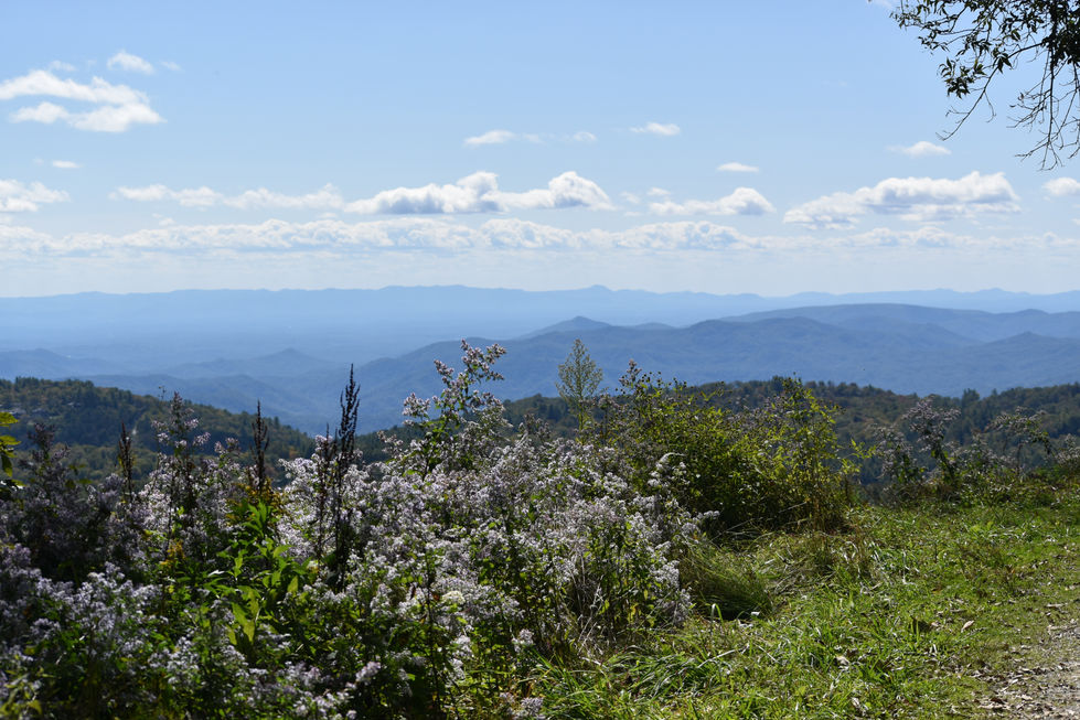 DSC_0478