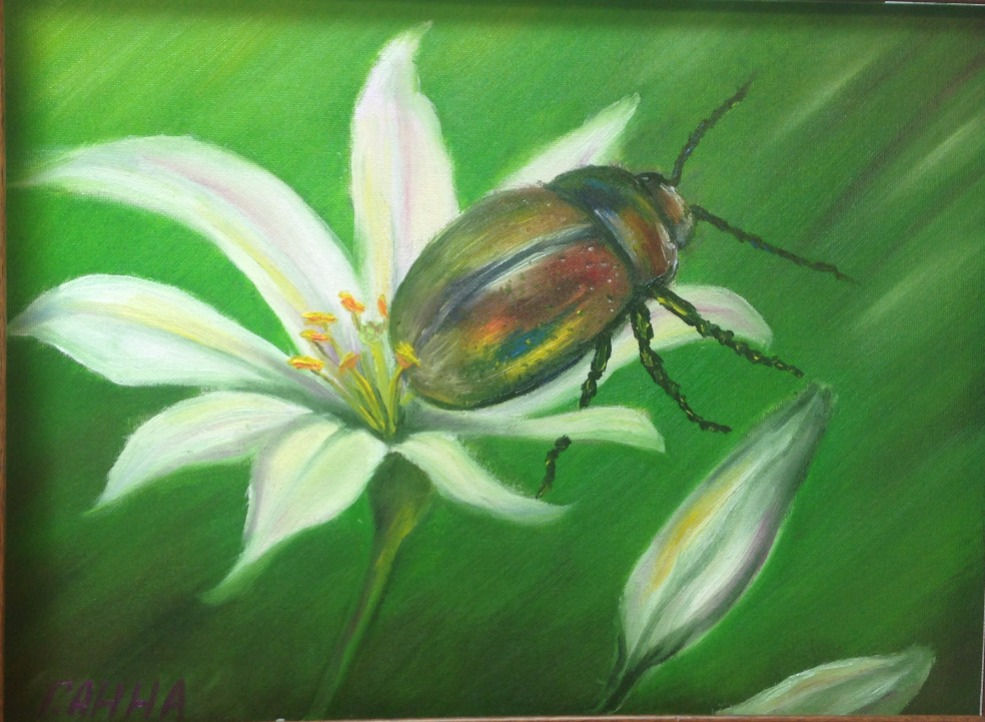 "Красавец жук"