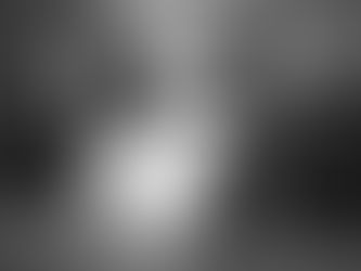 What To Ask Yourself Before Getting A Dog In Dubai