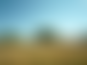 Transform Your Ranch with Beautiful Native Texas Landscaping Tips