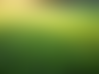 Ultimate Guide to Maintaining Your Artificial Turf for Longevity