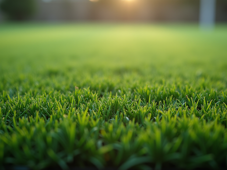Top Five Common Artificial Turf Mistakes You Should Avoid