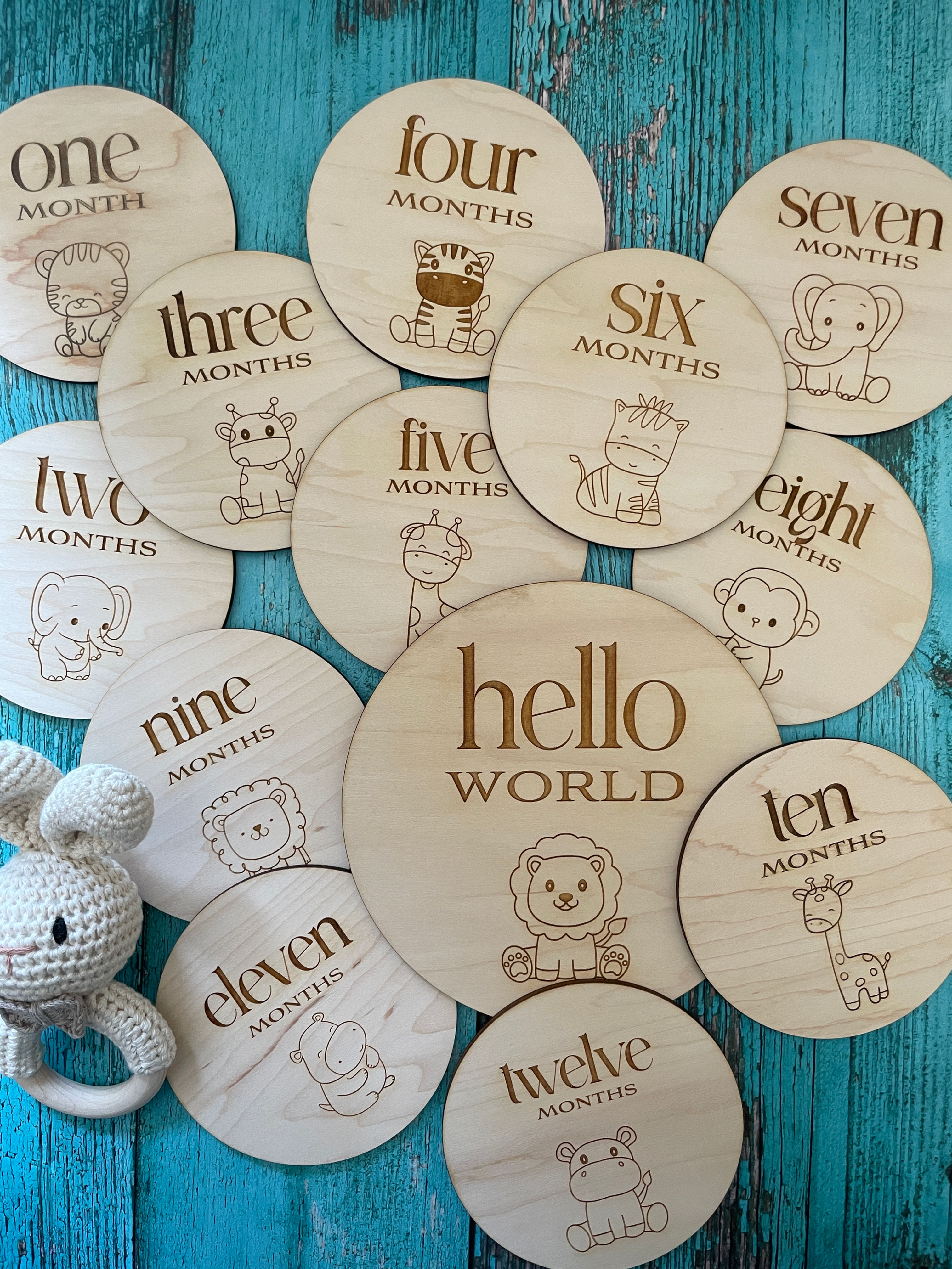 First Year Baby Milestone Markers