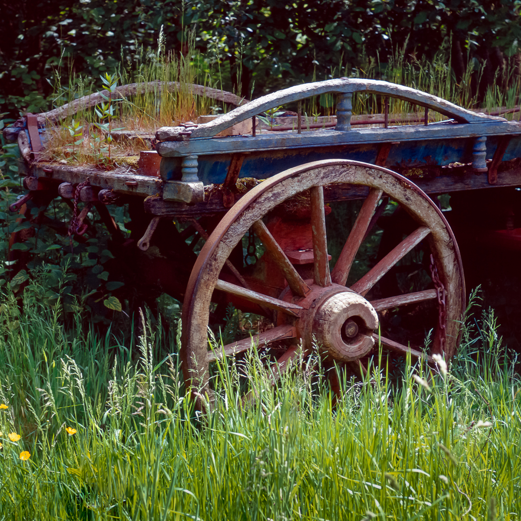 The Old Haywain