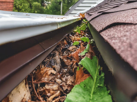 The Essential Guide to Gutter Cleaning: Protecting Your Home Inside and Out, All Year Round
