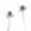 Black and white Export.png