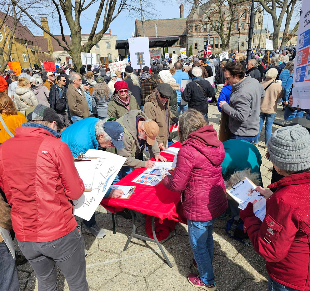 Rank MI Vote Press Pic 2.jpg