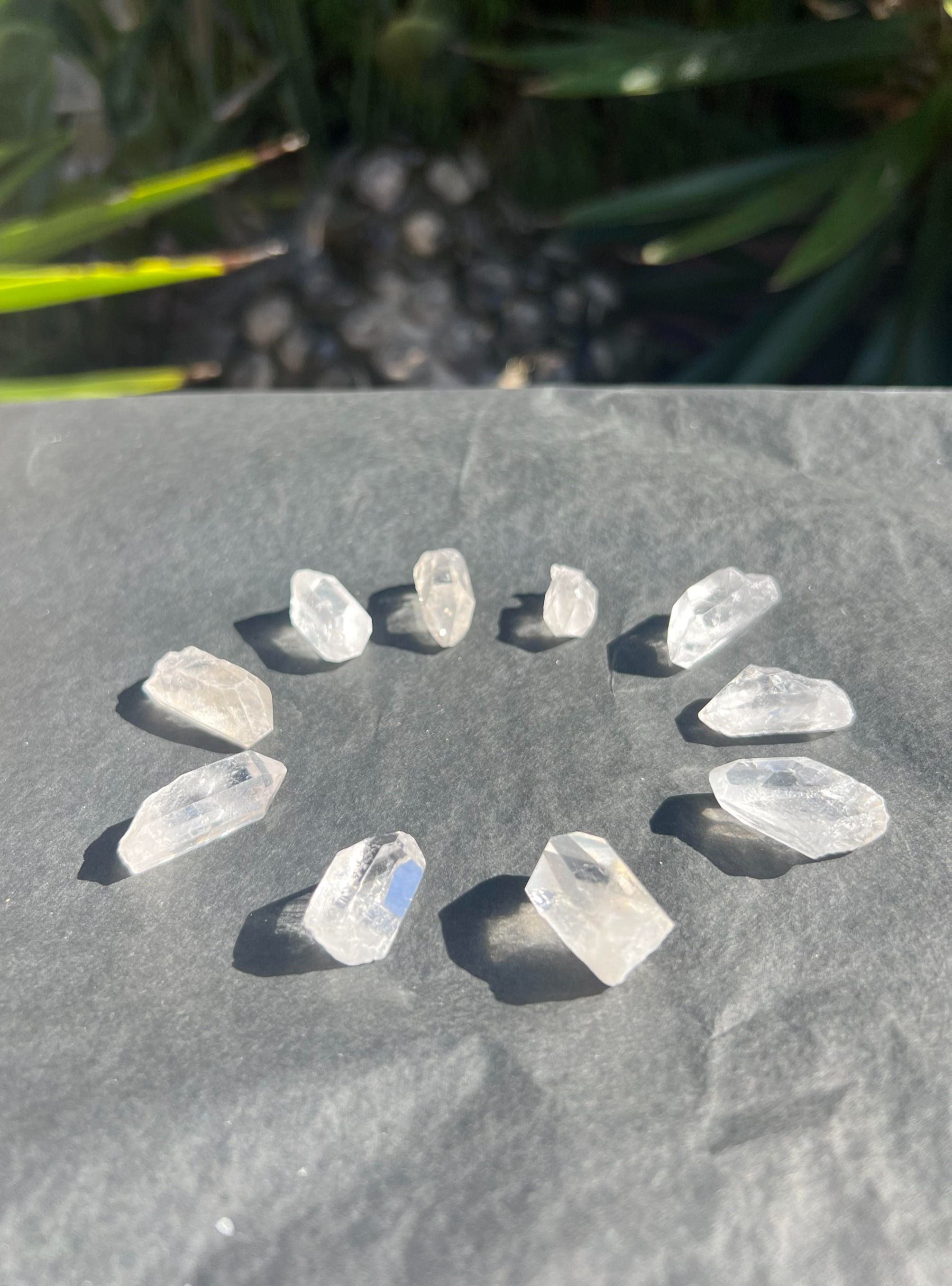 10 Pce Clear Quartz Chargers