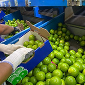 Imagem do WhatsApp de 2025-08-21 à(s) 19.16.01_e3743f19.jpg