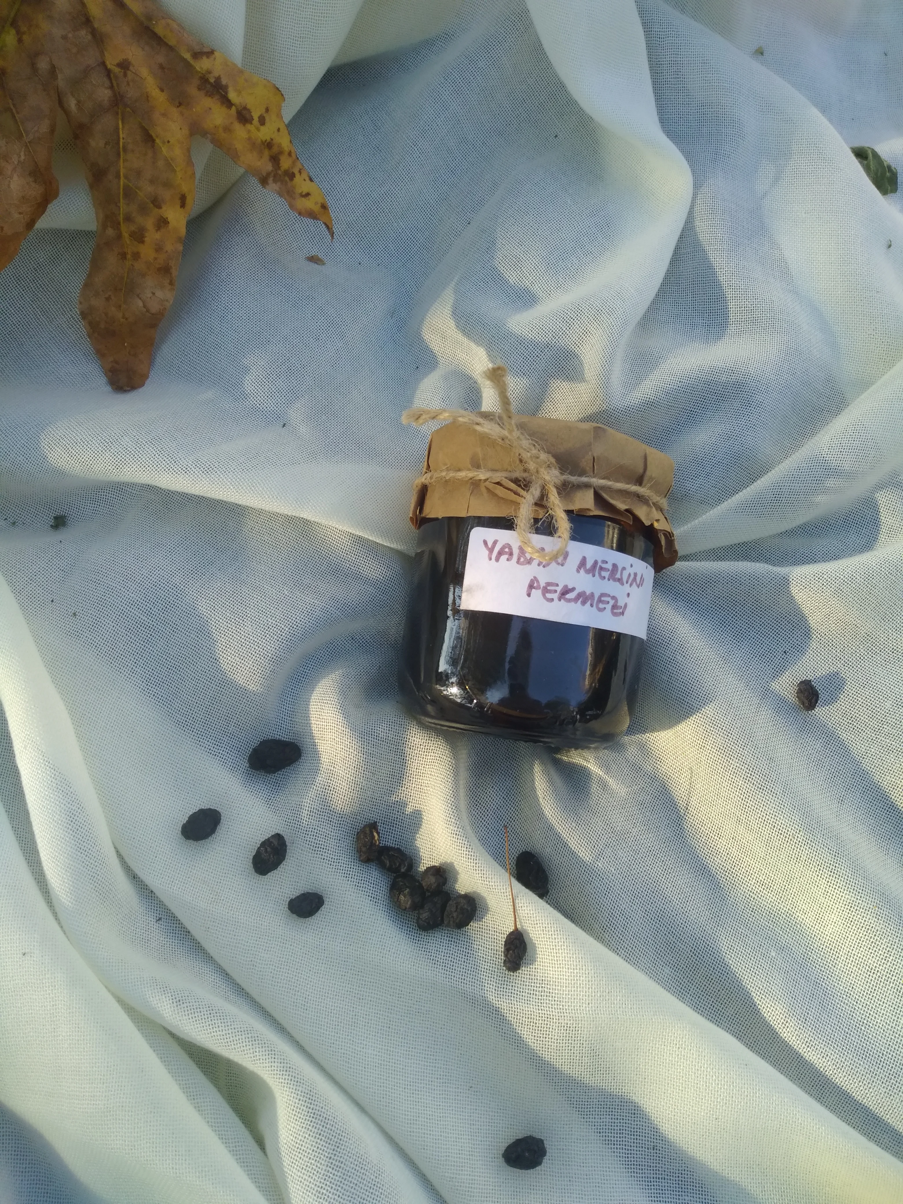 Yaban Mersini Pekmezi