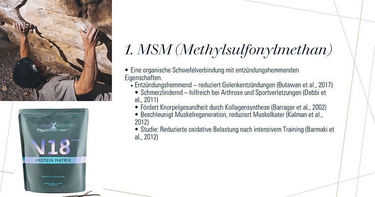 Mountain X Nutrition Nahrungsergänzung für Kletterer.pptx_20250616_222049_0001.png