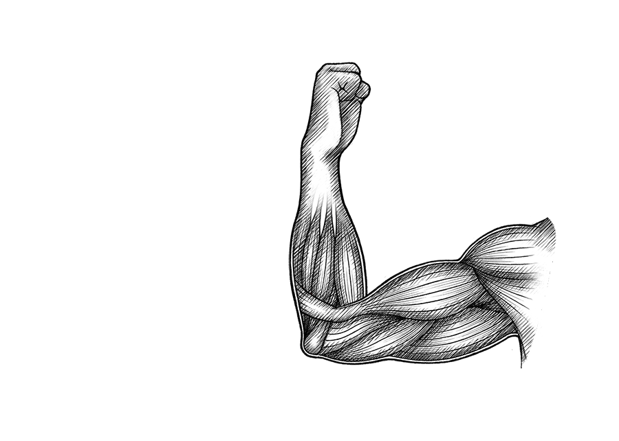 Tanja Duden Animation Illustration