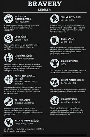 ChatGPT Image 17 Eyl 2026 17_07_06.png