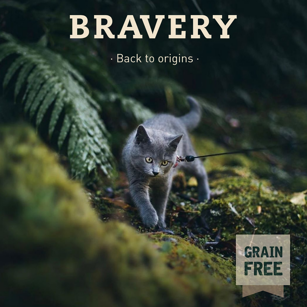 HAYVANLAR İÇİN SAVAŞAN KADINLAR