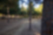 photo of onsite trailhead