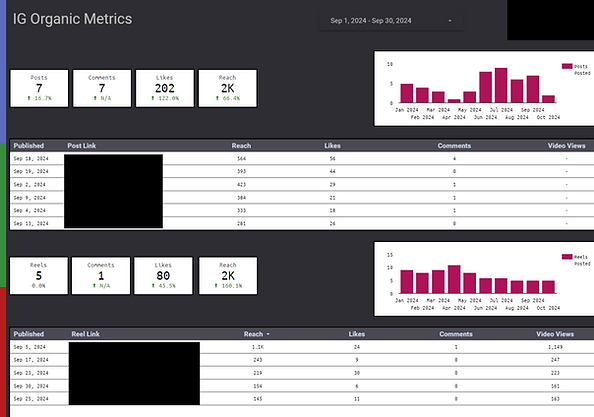 IG Org Example Analytics