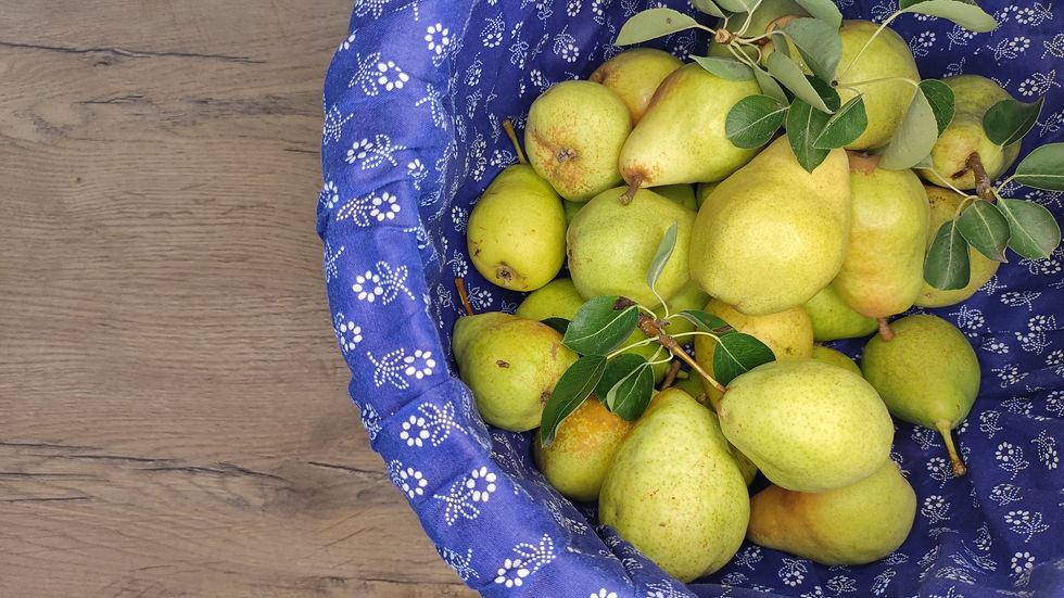 Altweibersommerliche "Jagd nach dem guten Geschmack"