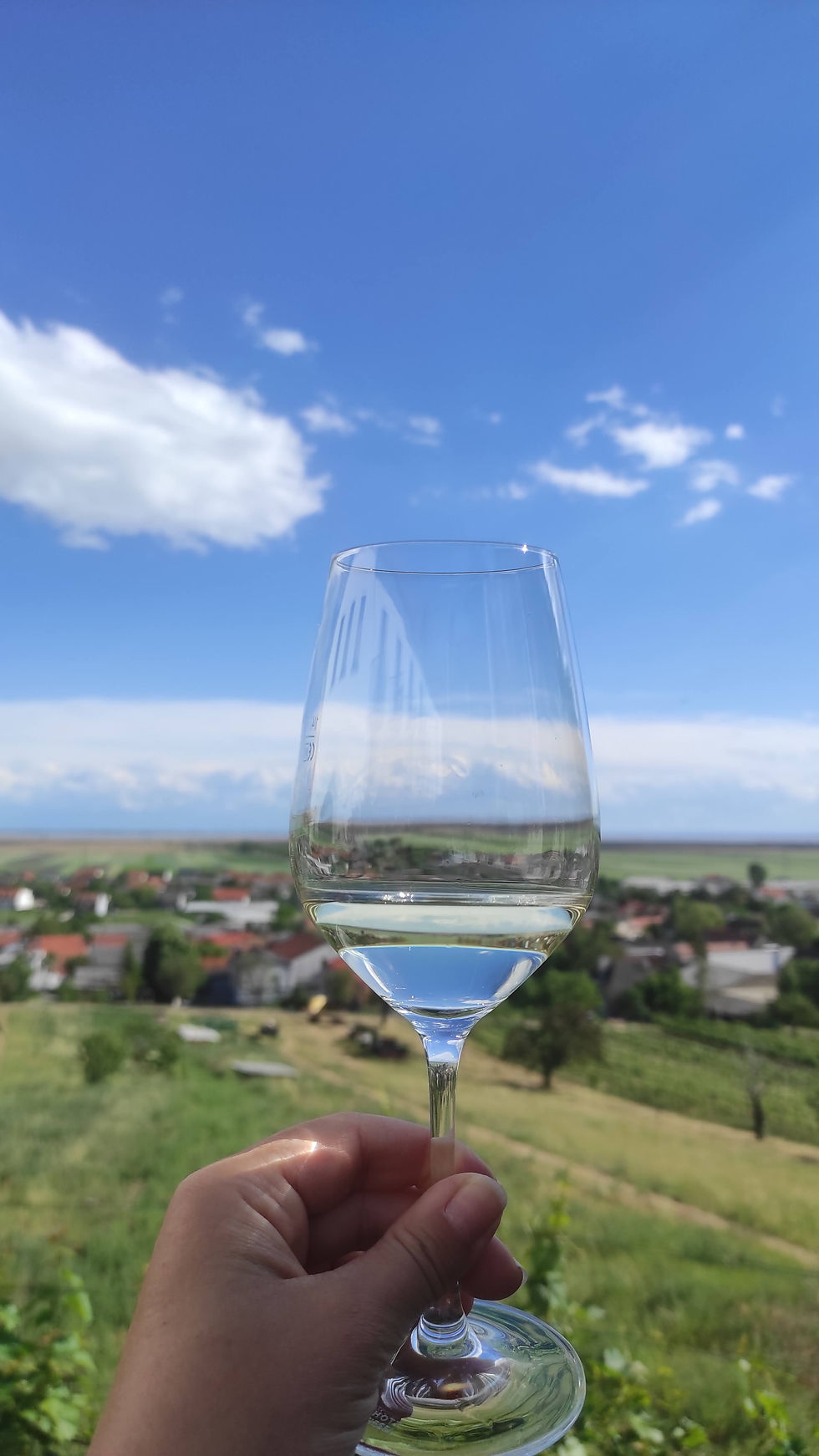 Vinophile "Jagd nach dem guten Geschmack"