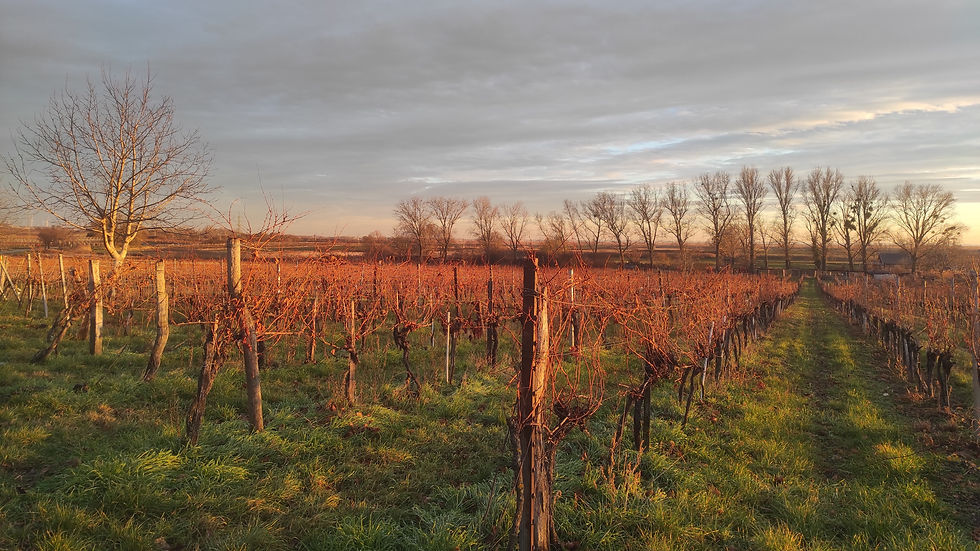 Herbstliche "Jagd nach dem guten Geschmack"