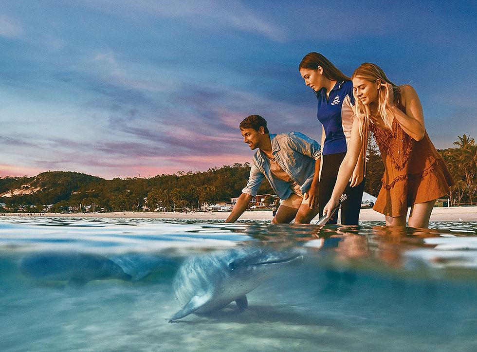 Tangalooma Desert Safari Day Cruise with Bus Transfers Upgrade Dolphin Feeding