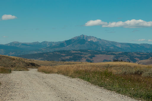 _MG_5471.jpg