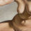 Thumbnail: Rosalie