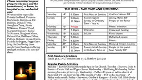 Newsletter - 15.10.23