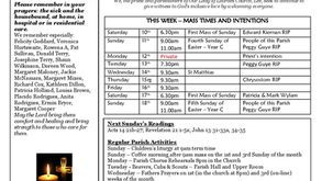 Newsletter - 11.5.25