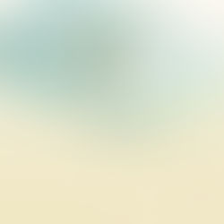 【丗 SOU-Letter】香港国際茶展 2026
