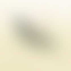 【丗 SOU-Letter】初春