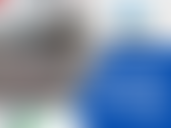 Instituto Vencedor faz pesquisa dos periódicos de Direito Eleitoral