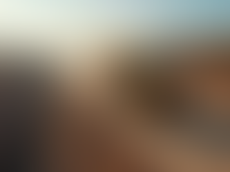 Movimiento de Suelos: Expertos en desmontes y sanjeos en Argentina