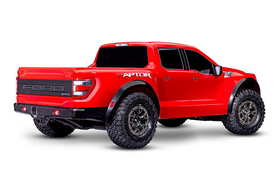 サムネイル： Rapter R　　　CB101076-4