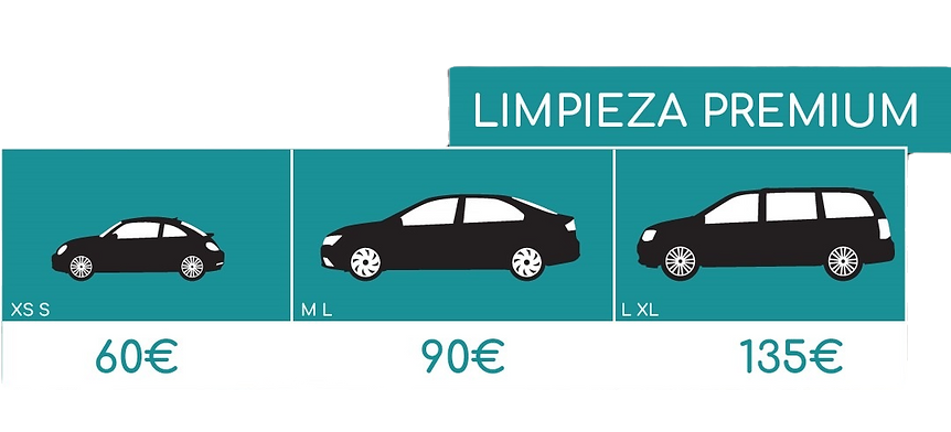 limpieza premium_