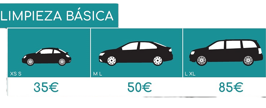 limpieza básica