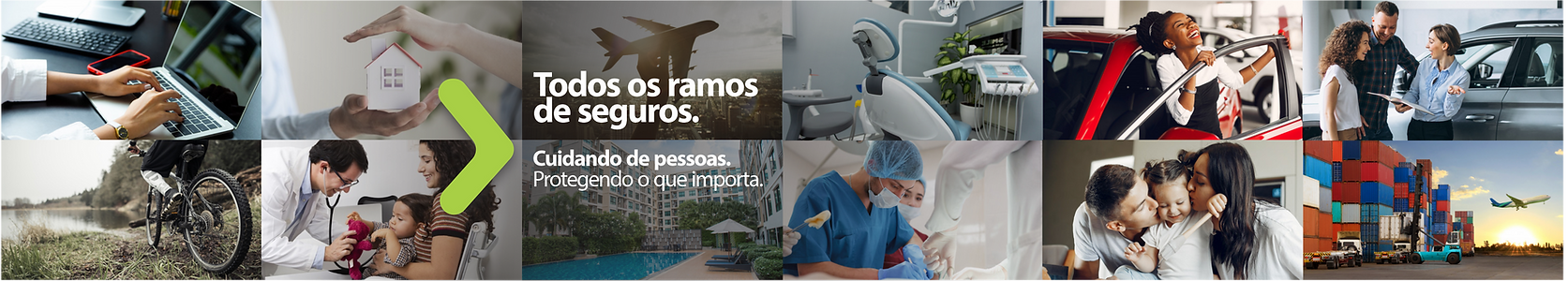 HEAD site novo TODOS RAMOS 001.png