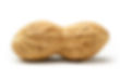 AdobeStock_47605282.jpeg
