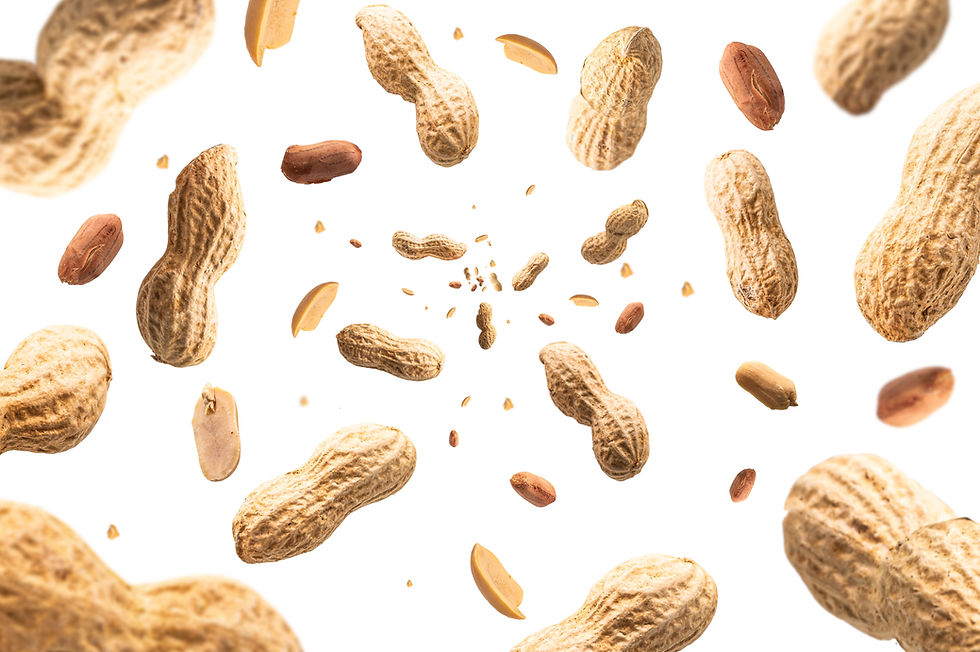 AdobeStock_353518308.jpeg